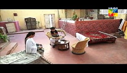 Aik Pal Episode 2 on Hum Tv