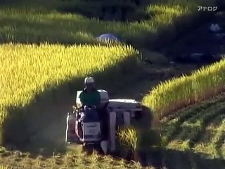 [Ep.57] BEGIN Japanology - Satoyama