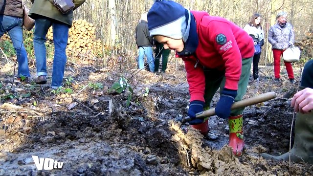 VOtv Ils replantent la forêt de Montmorency