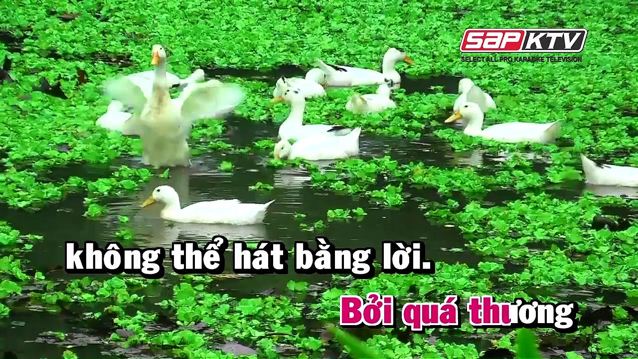 Ninh Binh Que Me - Anh Tho