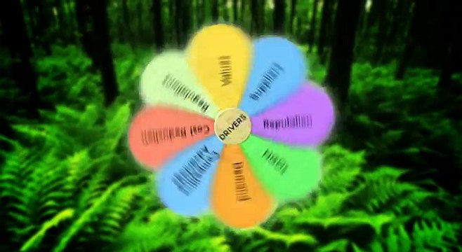 Sustainable Supply Chain