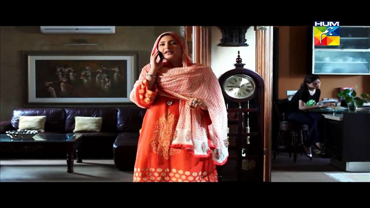Aik Pal Drama Episode 1 Full on HUM TV in High...