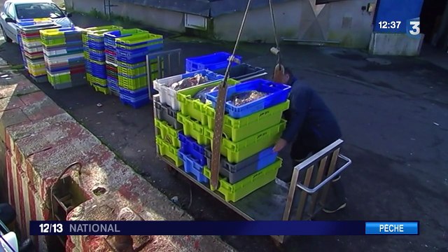 Les pêcheurs en colère face à la réduction des quotas