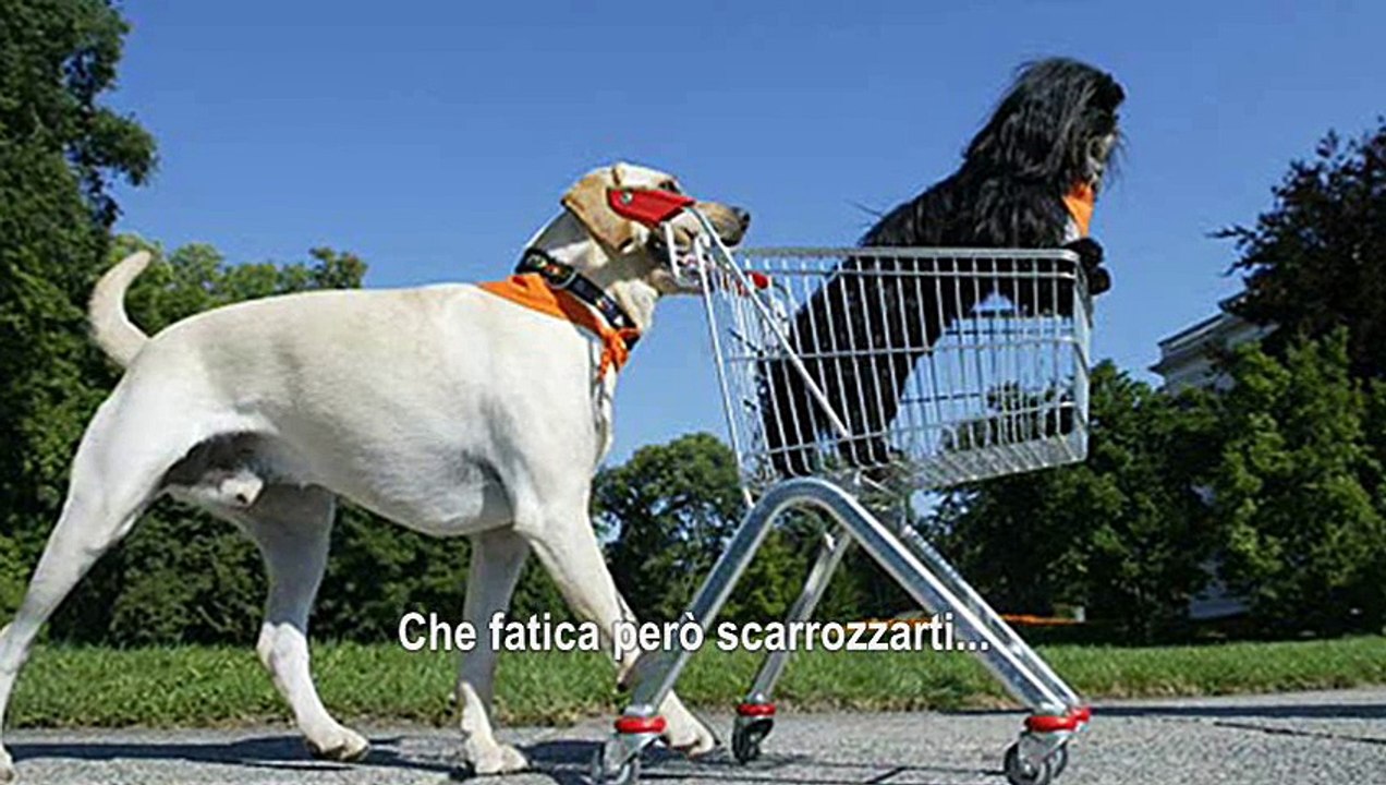 Leopoldo la gioia di vivere - Spot