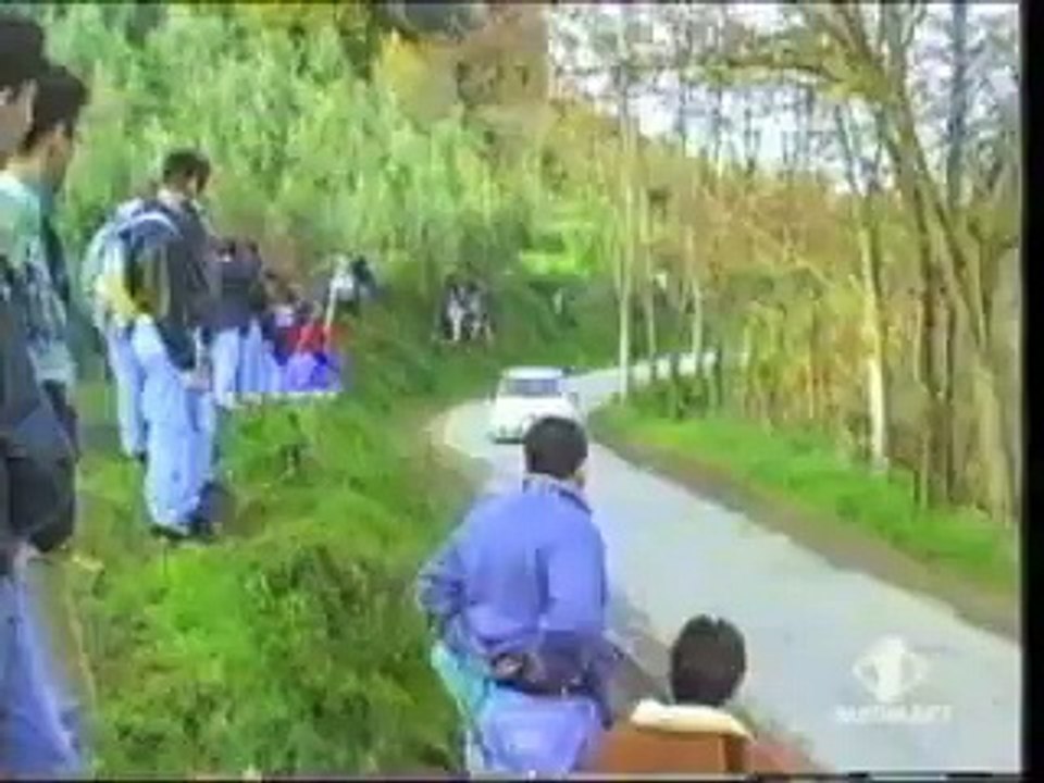 Peugeot 205 vs Arbre