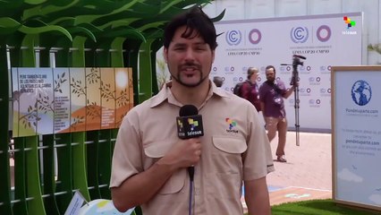 UN Climate Change conference tackles global warming
