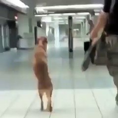 Inspiring Moments to Motivate You ✨