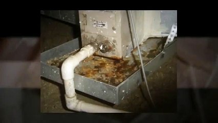 Why Choose An Orlando Home Inspector?