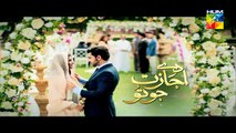 Daay Ijazat Jo Tu Episode 14 on Hum Tv in High Quality 2nd December 2014 - DramasOnline