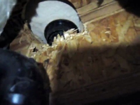 Home Inspectors Boise Reveals Improper Floor Joist Cut