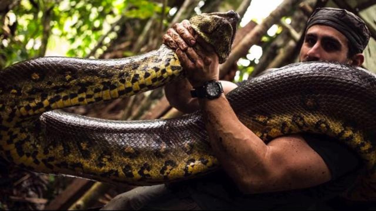 Man Eaten Alive by Anaconda Speaks Out