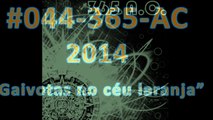 #0044-365-ac-2014-gaivotas-no-ceu-laranja-v1