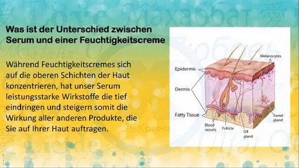 FG XPRESS - XtribePowerTeam - BeautyStrips™-INFO