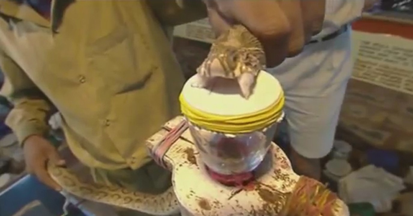 Snake Venom vs. Blood! video Dailymotion