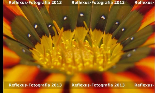 semana-002-projecto-365-ac-2014-v1