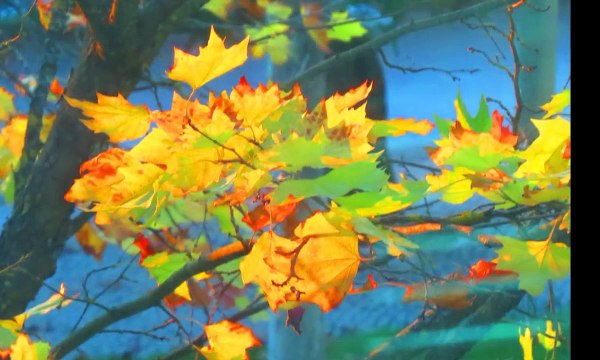 semana-006-projecto-365-ac-2014-v1