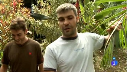 Españoles en el mundo - Guayana francesa