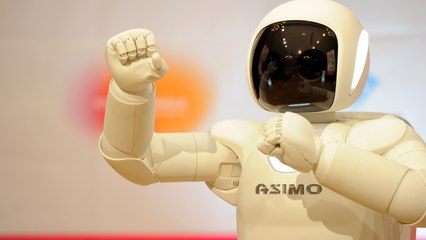 Smartest Man In World: Robots Are Going To Destroy Us