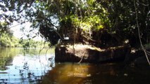 Paraíso Selvagem, Canoagem, Rio Puruba, Praia, Mares, Mergulhos, Natureza Selvagem, Bioma, Mata Atlântica, Marcelo Ambrogi, (6)