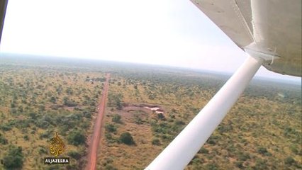 S Sudan cut down 'crisis trees' for survival