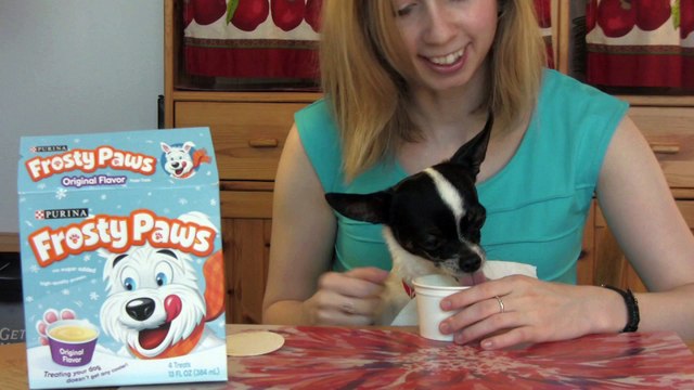 Frosty Paws Commercial Contest