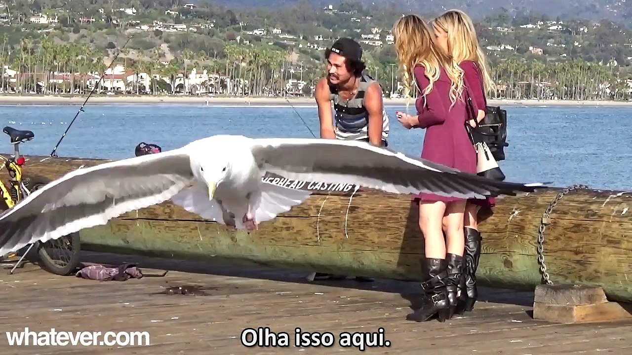 Duas gêmeas tentando fazer a três