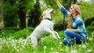 Dog Boarding Sydney | Dog Boarding Central Coast | Dog Boarding Newcastle