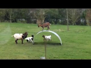 Got Play at the Slop | play time