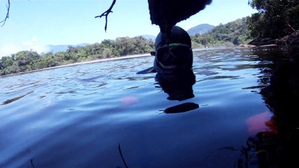 Paraíso Selvagem, Canoagem, Rio Puruba, Praia, Mares, Mergulhos, Natureza Selvagem, Bioma, Mata Atlântica, Marcelo Ambrogi, (33)