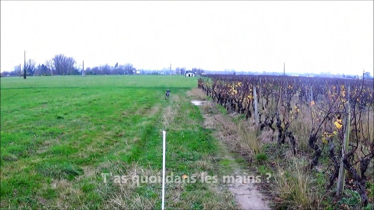 AUJOURD'HUI, JE CHASSE LE PETIT BOIS!
