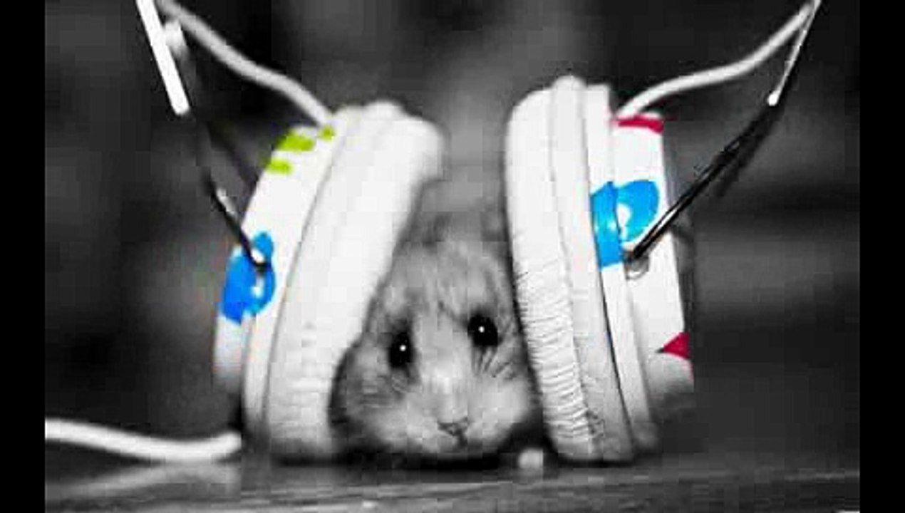 15 C Nice Electro_Dubstep music ! MrNicoLacro (1).mp4