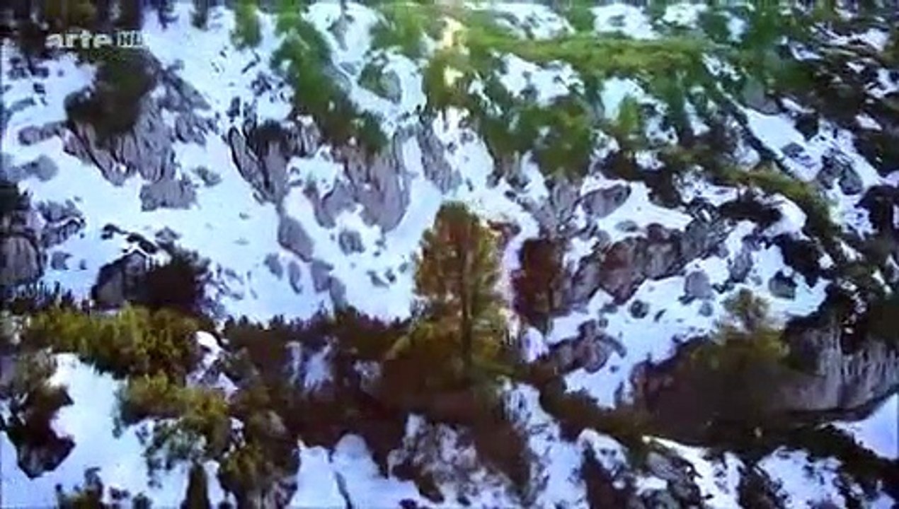 17 C Chill Out Berch.mp4