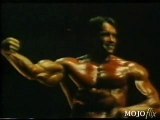 Arnold Schwarzenegger Mr Olympia 1980