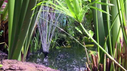 Etats-Unis: des maisons écolos à partir de matériaux recyclés