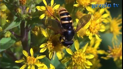 m. zeki ceylan Ölüm nedir?