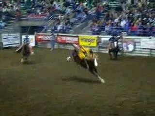 Rodeo 027