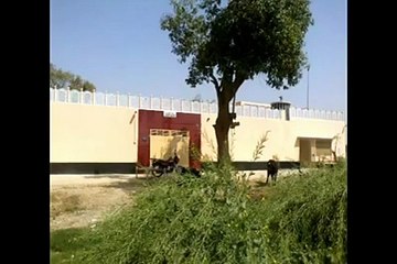 ek maa ki awaz apnay pardesi puttar k lye