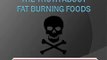 The Truth About Fat Burning Foods - WATCH THIS before buying The Truth About Fat Burning Foods