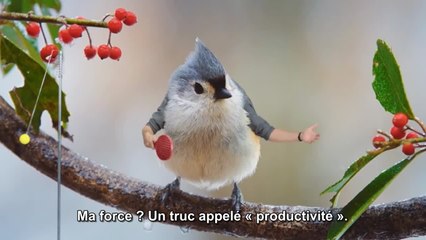 Modern birds - Pub ASUS T100