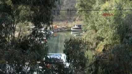 Marmaris 94 Okaliptüs Ağacı Susam ve Mısır Kurbanı