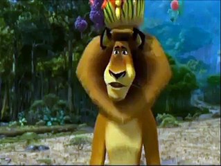 king lion adressing to all animal v funny