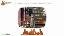 DKC: Providing Top-Class Pet Services