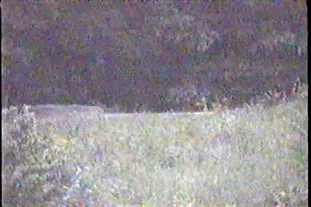 Most Authentic ghost footage of all time___