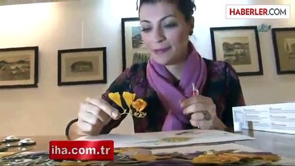 Bitkileri Boya, Cımbızı Fırça Olarak Kullanıyor