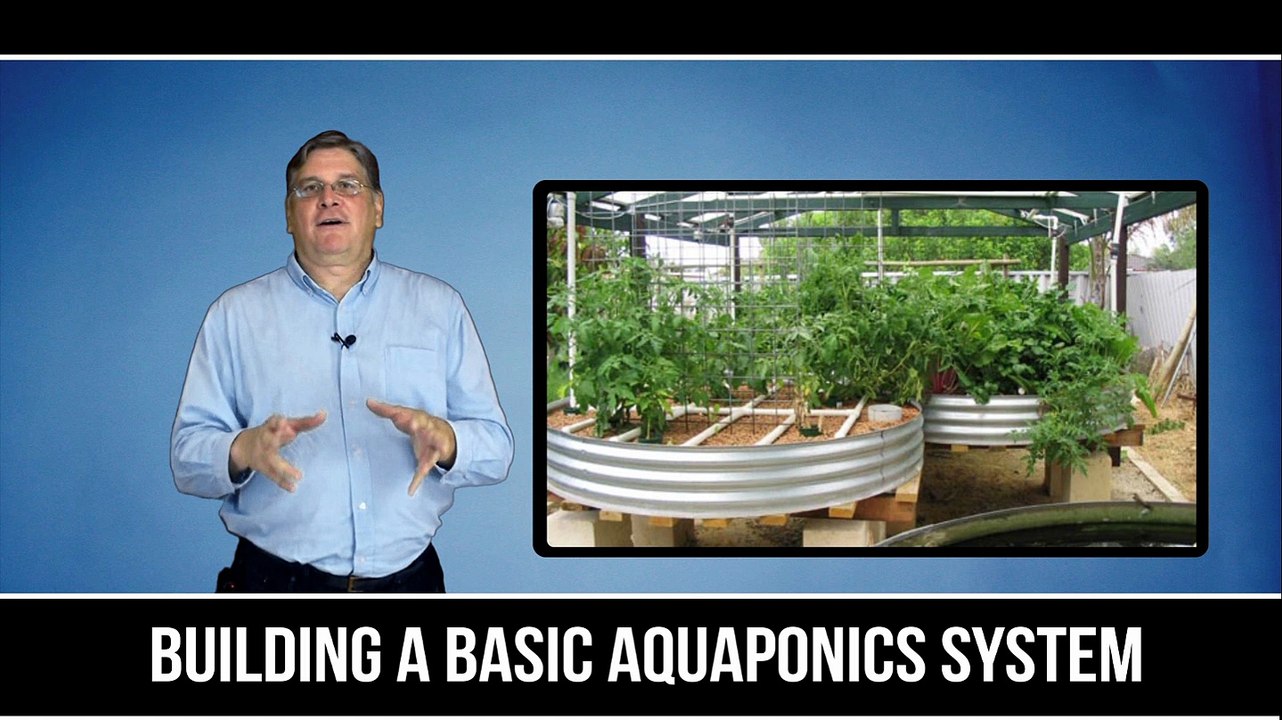 Building A Basic Aquaponics System
