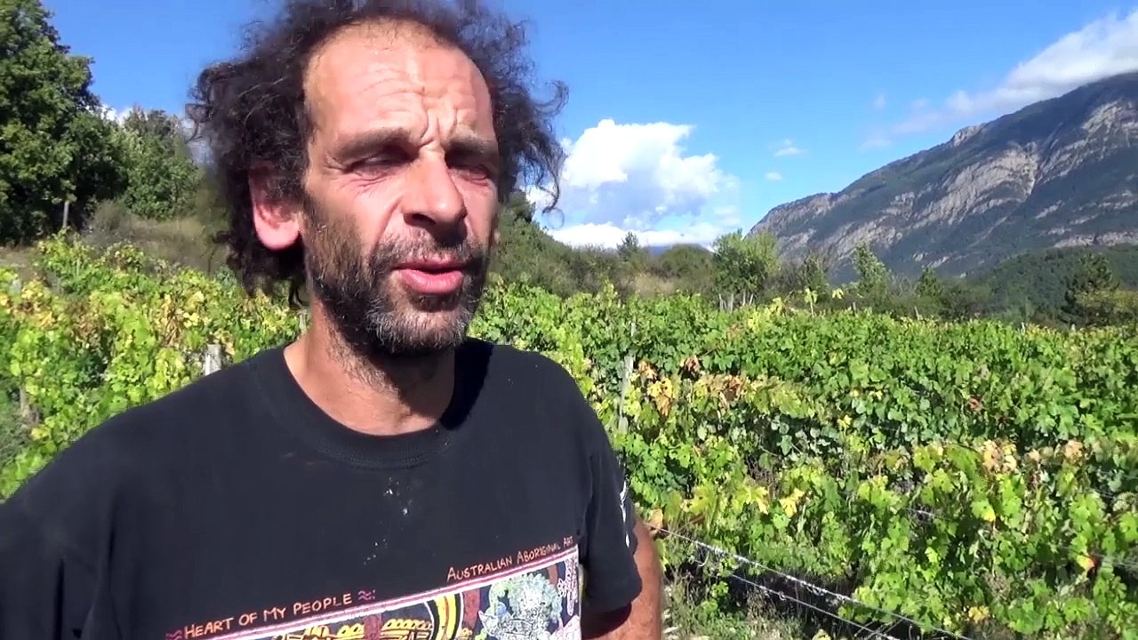 En Direct D!CI : La vigne des Alpes du Sud - Partie 2