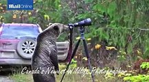 Video of ‘grizzly bear photographer’ in Canada