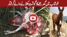 Donky meat eating in Khushab Pakistan