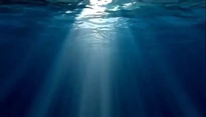 L'arche et le Déluge