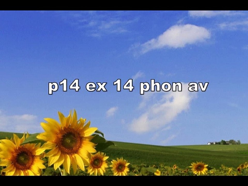 p14 ex 14 phon av